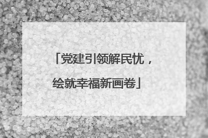 党建引领解民忧，绘就幸福新画卷